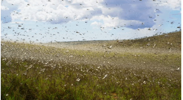 1609319866386427.png 圖片.png